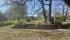 IMG_4347 (FILEminimizer).jpeg